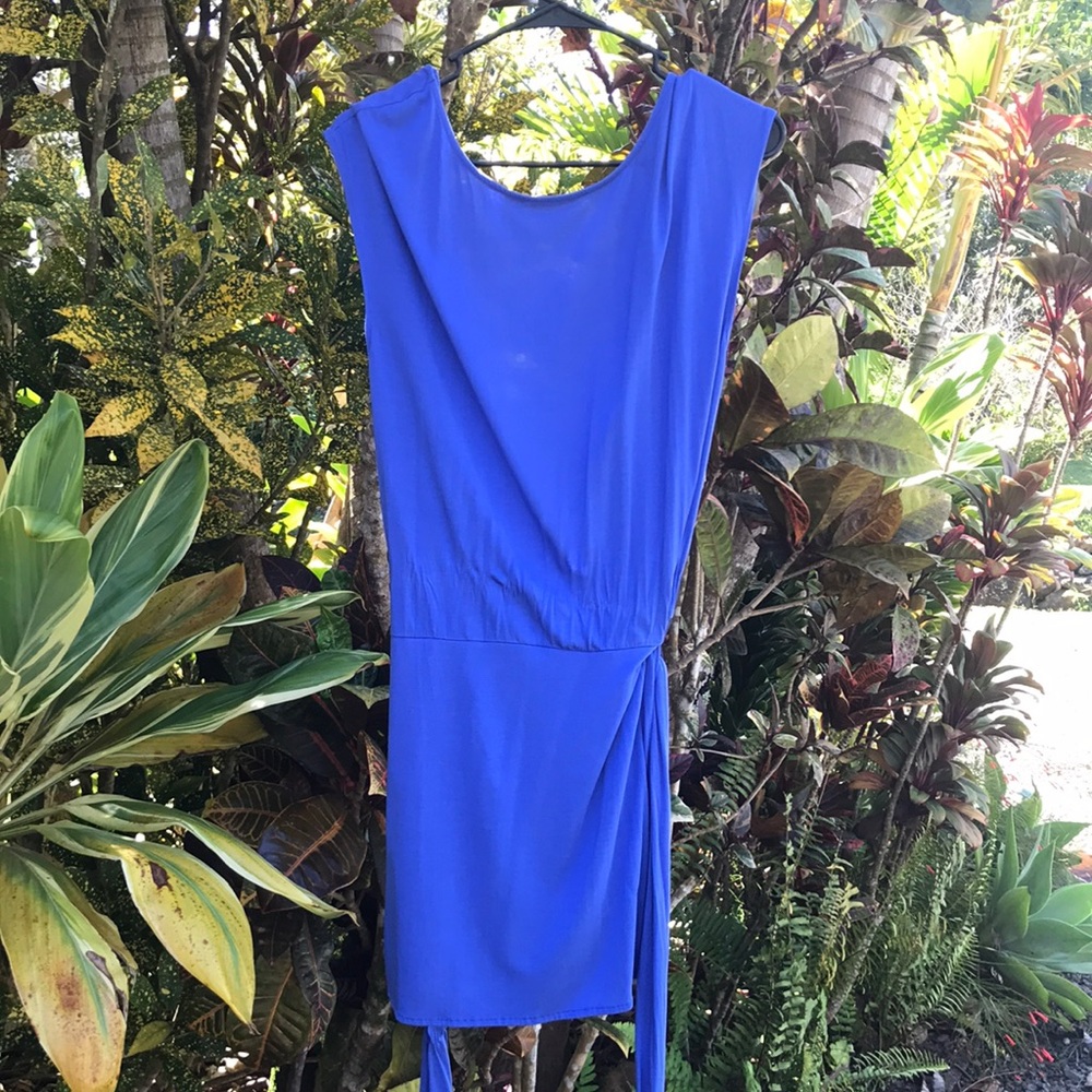 Haute hippie mini dress